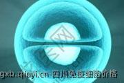四川免疫细胞价格