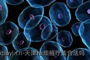 天津nk细胞疗法合法吗