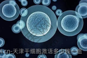 天津干细胞激活多少钱一组