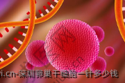 深圳卵巢干细胞一针多少钱