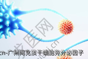 广州间充质干细胞旁分泌因子