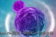 四川干细胞打一针多少钱