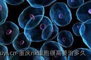 重庆nk细胞很高要治多久