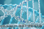 南京干细胞有几种