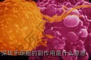深圳干细胞的副作用是什么意思