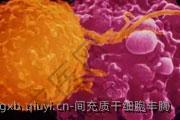 间充质干细胞丰胸