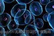 无精症可以打干细胞吗