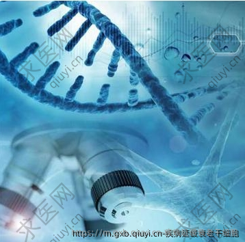 疾病延缓衰老干细胞