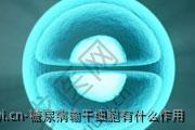 糖尿病输干细胞有什么作用