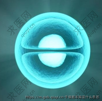 干细胞丰胸是什么意思