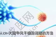 大脑中风干细胞调理的方法