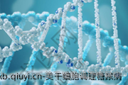 美干细胞调理糖尿病