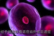 神经干细胞移植调理脑外伤后遗症