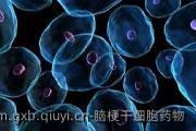 脑梗干细胞药物