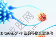 干细胞移植延缓衰老