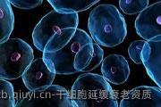 干细胞延缓衰老资质