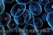 干细胞生长肽能丰胸吗