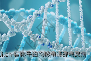自体干细胞移植调理糖尿病