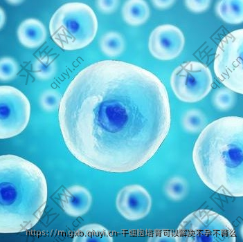 干细胞培育可以解决不孕不育么