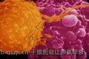 干细胞能让卵巢早衰