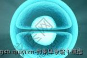 卵巢早衰输干细胞