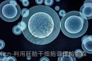 利用胚胎干细胞调理帕金森