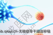 无精症等干细胞移植