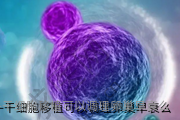 干细胞移植可以调理卵巢早衰么