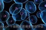 干细胞延缓衰老体检评估