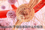 干细胞丰胸什么价格表