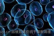 脑梗后遗症的干细胞调理