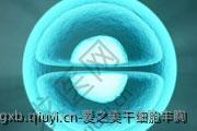 爱之美干细胞丰胸