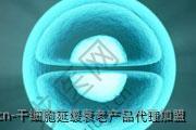 干细胞延缓衰老产品代理加盟