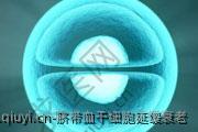 脐带血干细胞延缓衰老