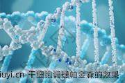 干细胞调理帕金森的效果