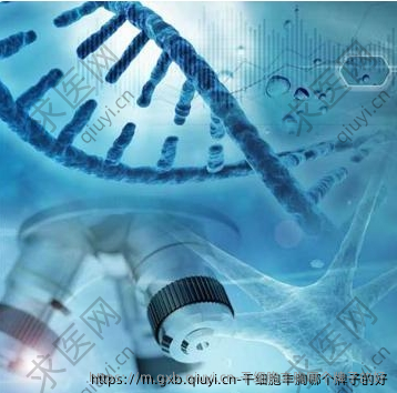 干细胞丰胸哪个牌子的好
