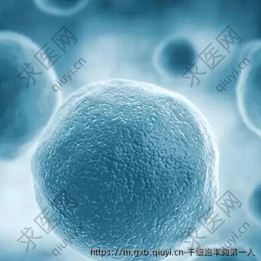 干细胞丰胸第一人