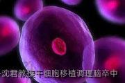 沈君教授干细胞移植调理脑卒中