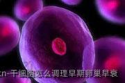 干细胞怎么调理早期卵巢早衰