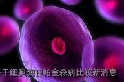 干细胞调理帕金森病比较新消息