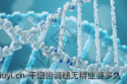 干细胞调理无精症要多久