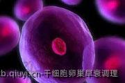 干细胞卵巢早衰调理