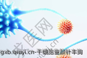 干细胞童颜针丰胸