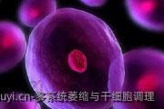 多系统萎缩与干细胞调理