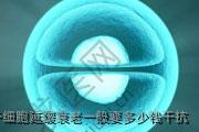干细胞延缓衰老一般要多少钱干抗