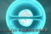 干细胞再生卵巢早衰