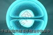 干细胞脑内精准移植冶疗脑卒中