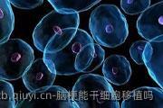 脑梗能干细胞移植吗