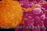 出血性脑卒中神经干细胞临床进展