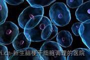 新生脑梗干细胞调理的医院